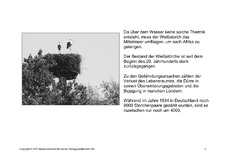 Fehlerlesen-Weißstorch-Lesetext-Sw-5.pdf